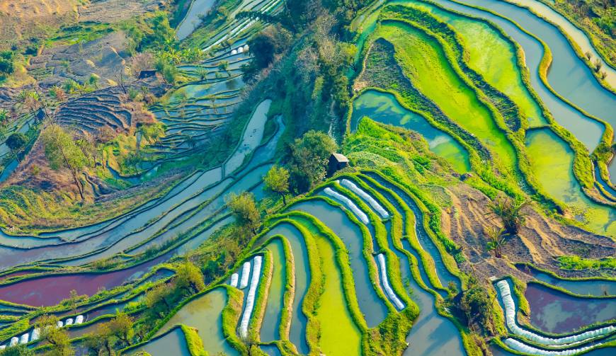 宝妈必备神器：东河区产品视频拍摄轻松育儿好帮手