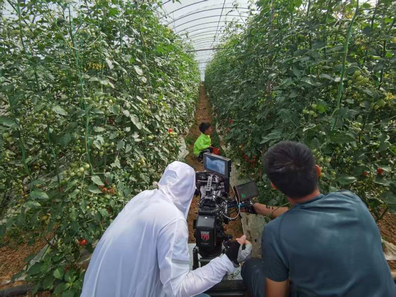 东河区产品宣传视频拍摄公司进阶指南，助力品牌抢占传播高地